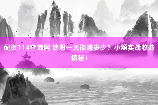 配资114查询网 炒股一天能赚多少？小额实战收益揭秘！