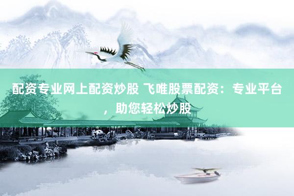 配资专业网上配资炒股 飞唯股票配资：专业平台，助您轻松炒股