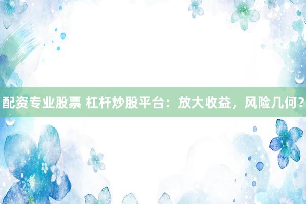 配资专业股票 杠杆炒股平台：放大收益，风险几何？