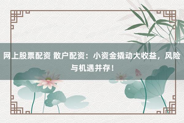 网上股票配资 散户配资：小资金撬动大收益，风险与机遇并存！