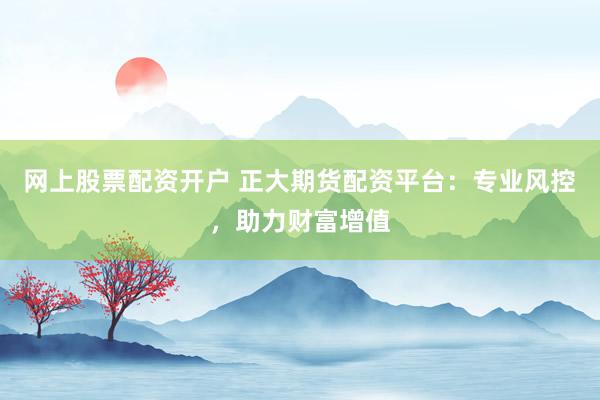 网上股票配资开户 正大期货配资平台：专业风控，助力财富增值
