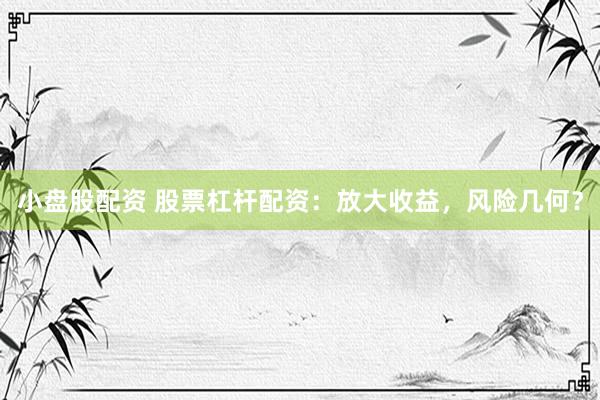 小盘股配资 股票杠杆配资：放大收益，风险几何？