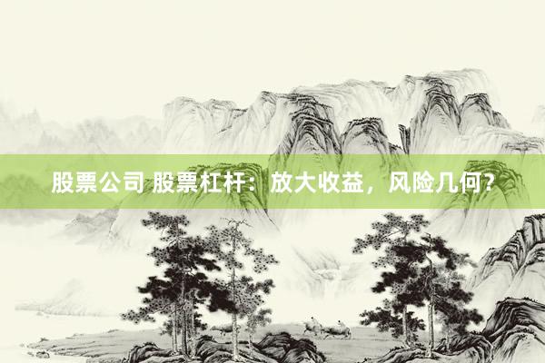 股票公司 股票杠杆：放大收益，风险几何？