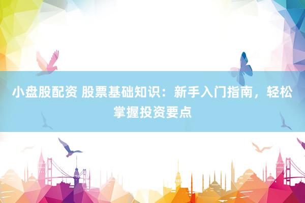 小盘股配资 股票基础知识：新手入门指南，轻松掌握投资要点
