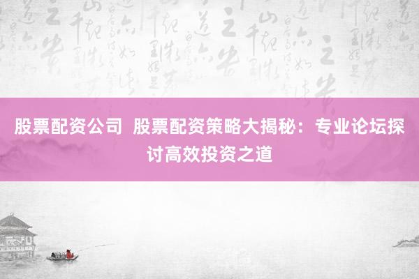 股票配资公司  股票配资策略大揭秘：专业论坛探讨高效投资之道