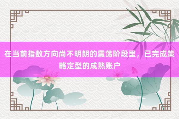 在当前指数方向尚不明朗的震荡阶段里，已完成策略定型的成熟账户