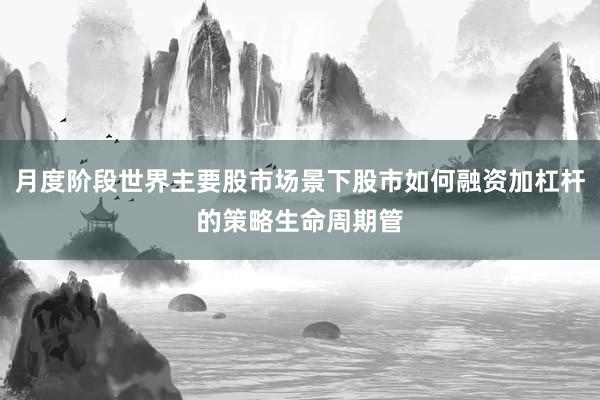 月度阶段世界主要股市场景下股市如何融资加杠杆的策略生命周期管