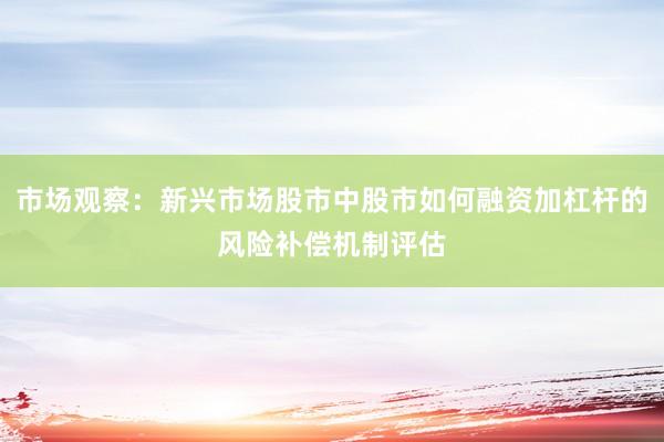 市场观察：新兴市场股市中股市如何融资加杠杆的风险补偿机制评估