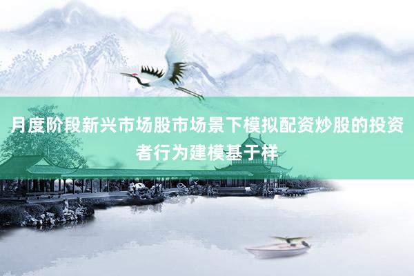 月度阶段新兴市场股市场景下模拟配资炒股的投资者行为建模基于样