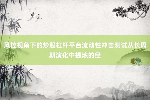 风控视角下的炒股杠杆平台流动性冲击测试从长周期演化中提炼的经