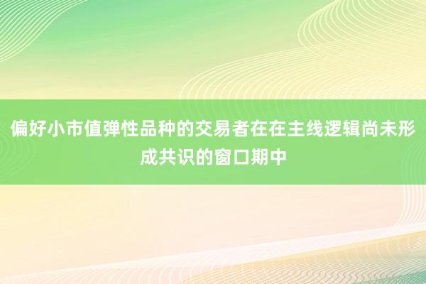 偏好小市值弹性品种的交易者在在主线逻辑尚未形成共识的窗口期中