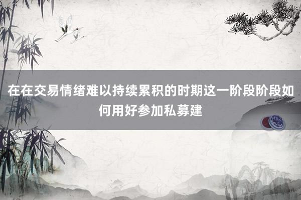 在在交易情绪难以持续累积的时期这一阶段阶段如何用好参加私募建