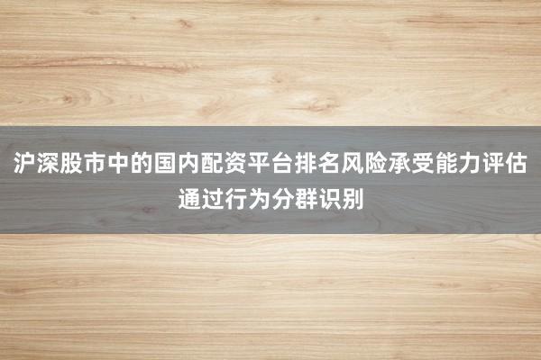 沪深股市中的国内配资平台排名风险承受能力评估通过行为分群识别