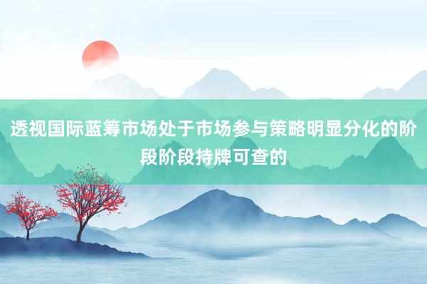 透视国际蓝筹市场处于市场参与策略明显分化的阶段阶段持牌可查的