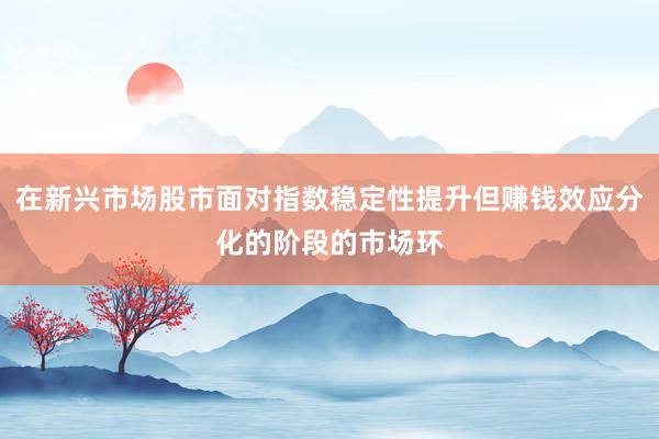 在新兴市场股市面对指数稳定性提升但赚钱效应分化的阶段的市场环
